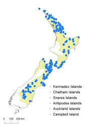 Cheilanthes sieberi distribution map based on databased records at AK, CHR & WELT.
 Image: K.Boardman © Landcare Research 2020 CC BY 4.0